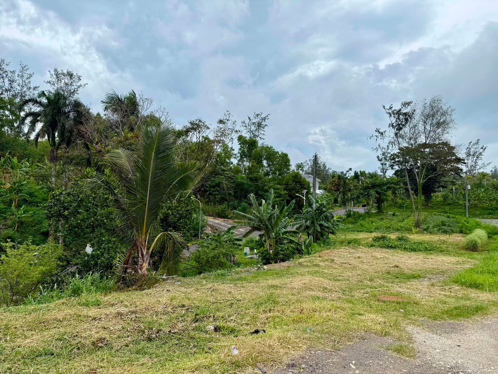 Prime Lot in Misibis
